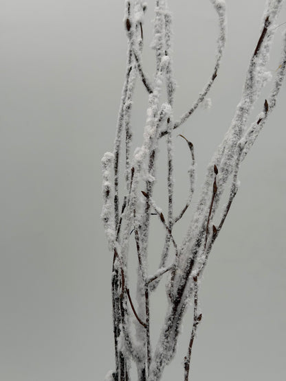 Birkenzweig beflockt Schnee