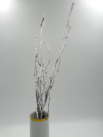 Birkenzweig beflockt Schnee