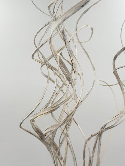 Curly Ting Ting getrocknet Weiß