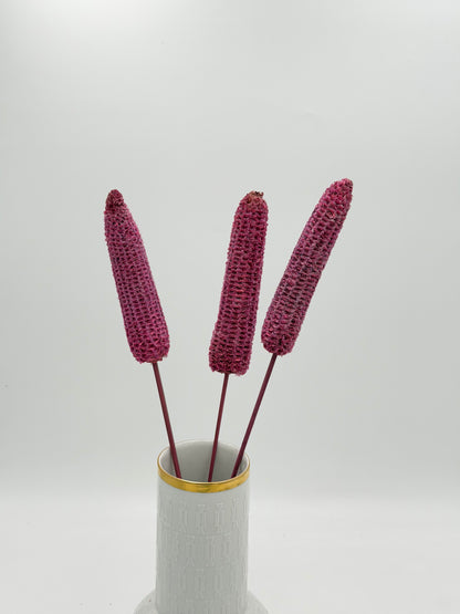 Mais geraspelt am Stiel rosa 3er
