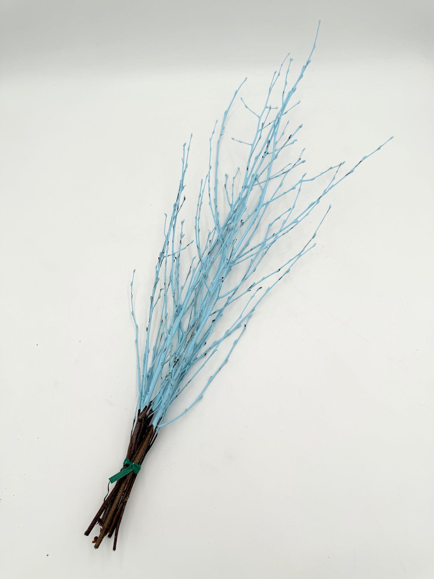 Birkenzweig Pastell Frühling