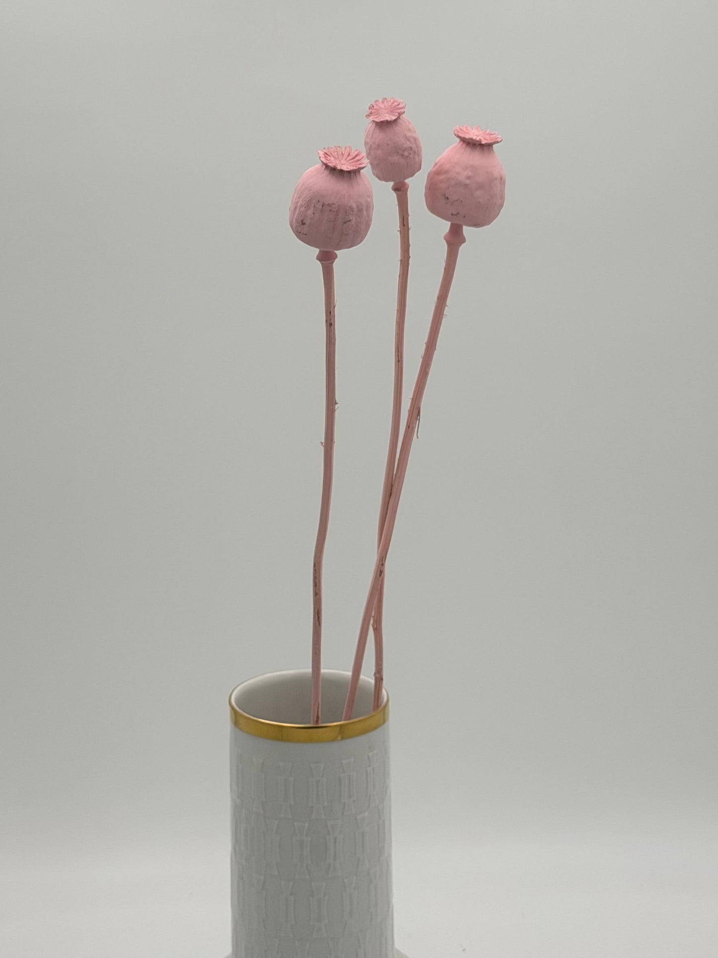 Mohnkapsel rosa 3 Stück