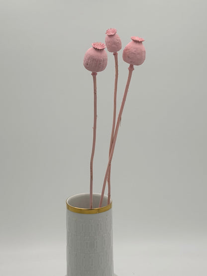 Mohnkapsel rosa 3 Stück