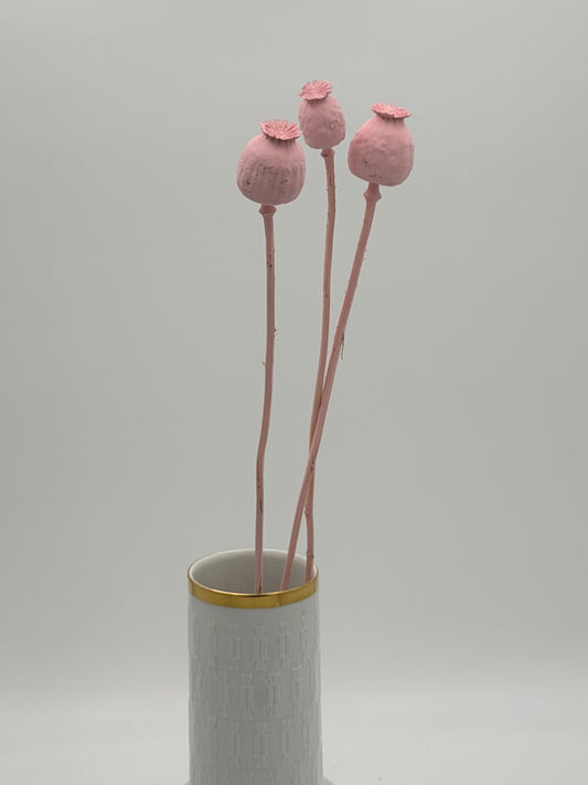 Mohnkapsel rosa 3 Stück