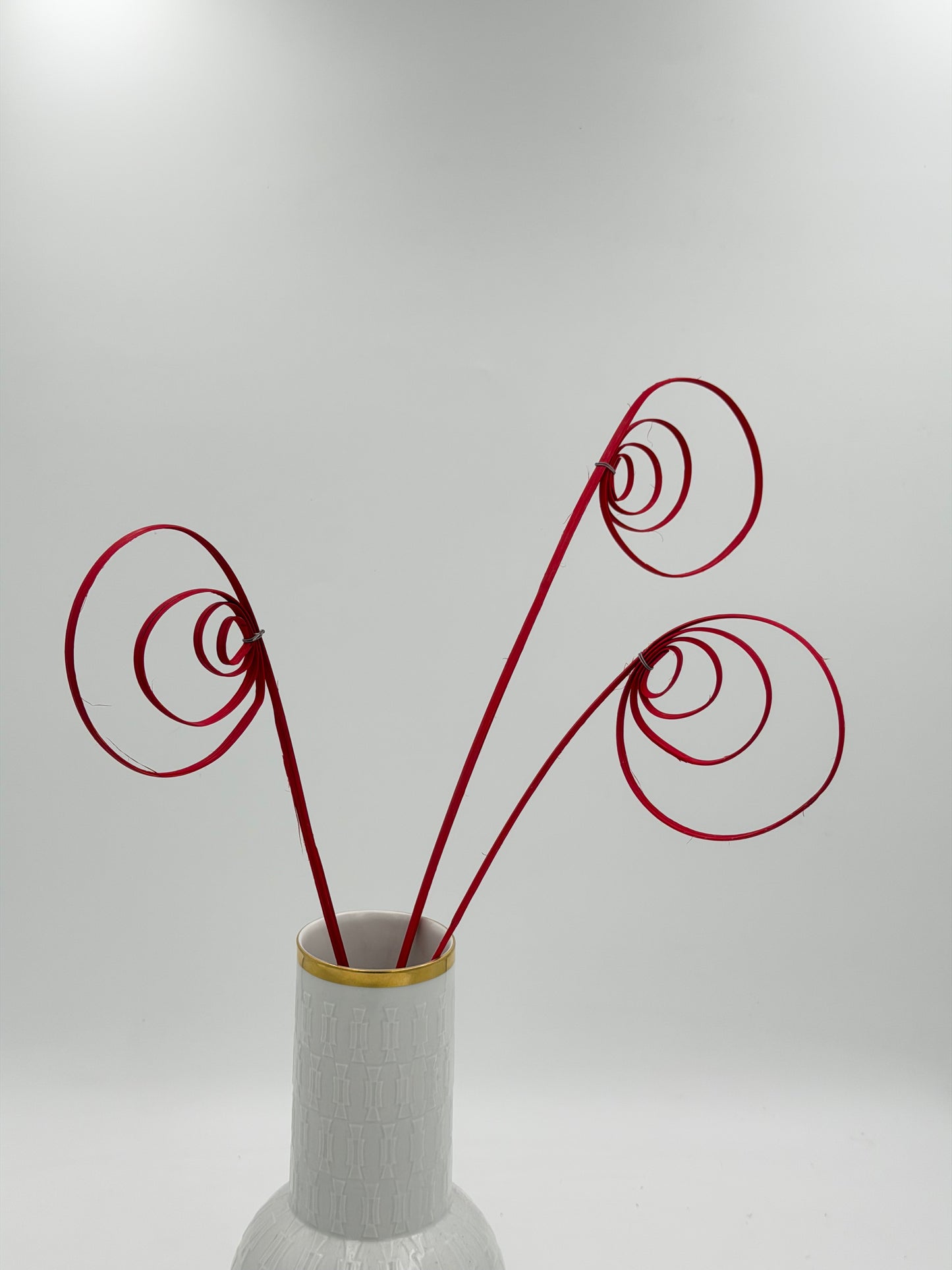 Cane Coil rot 3 Stück