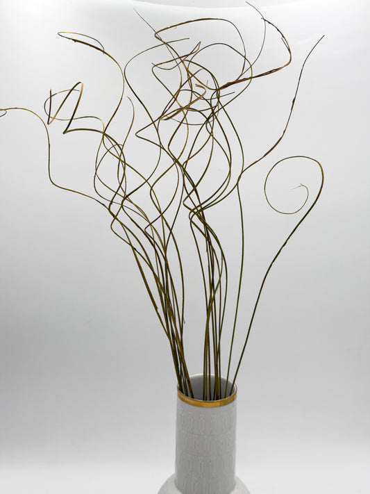 Curly Ting Ting getrocknet gelb grün