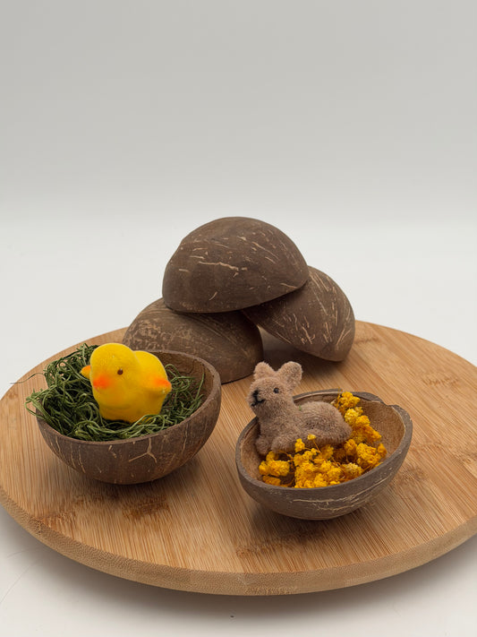 Kokosschale Mini Schüssel 1 Stück ohne Deko