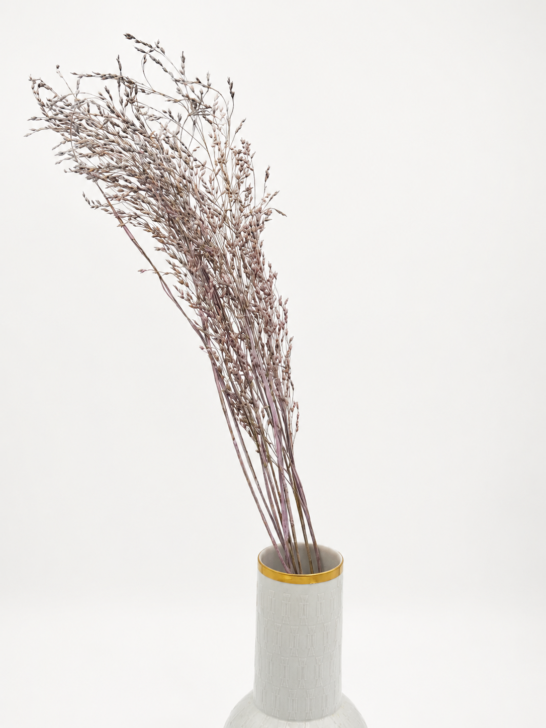 Panicum Ziergras flieder 5er