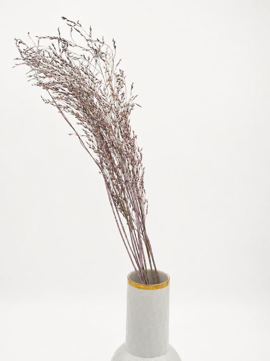 Panicum Ziergras flieder 5er