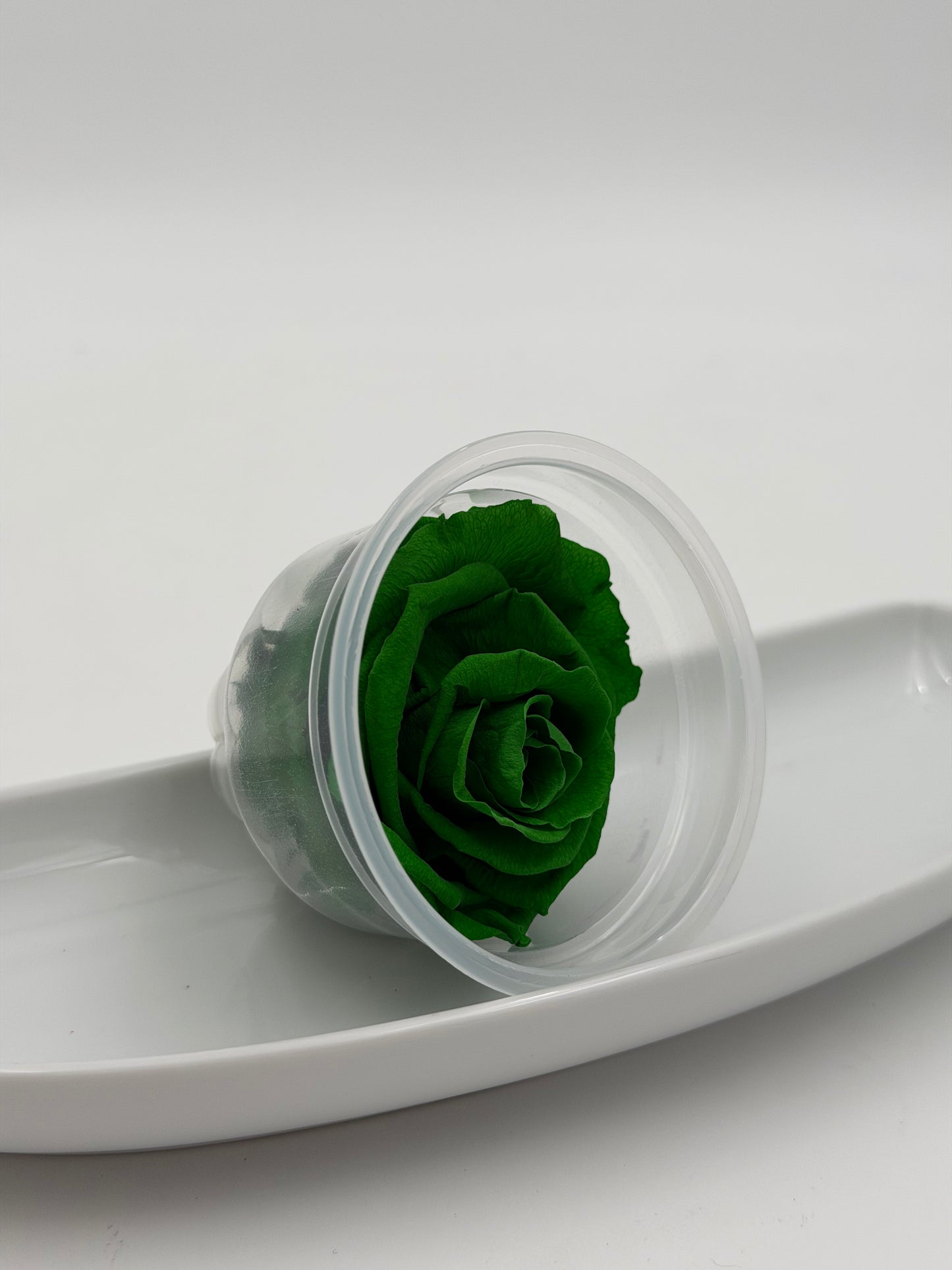 Blüte Infinity Rose dunkelgrün exquisite 1 Stück