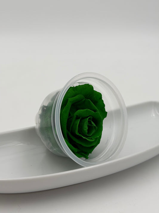 Blüte Infinity Rose dunkelgrün exquisite 1 Stück