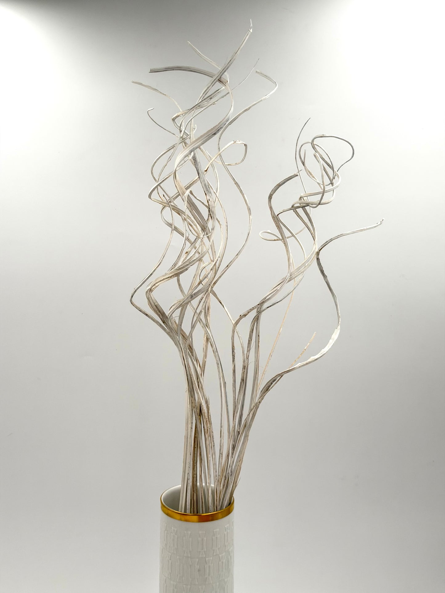 Curly Ting Ting getrocknet Weiß