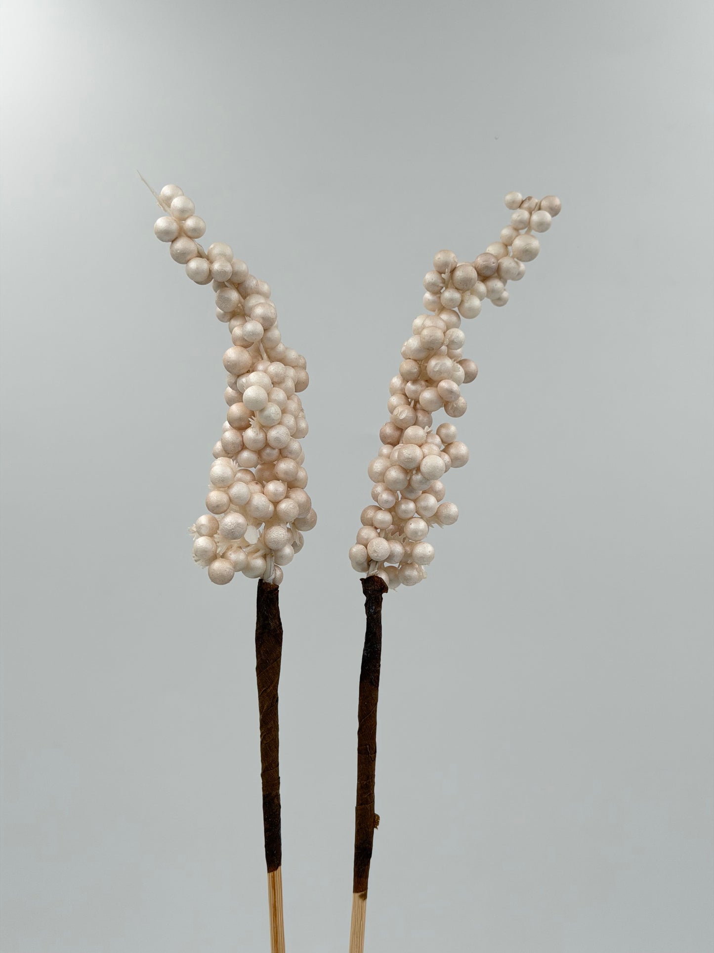 Beeren am Stab 2 Stück