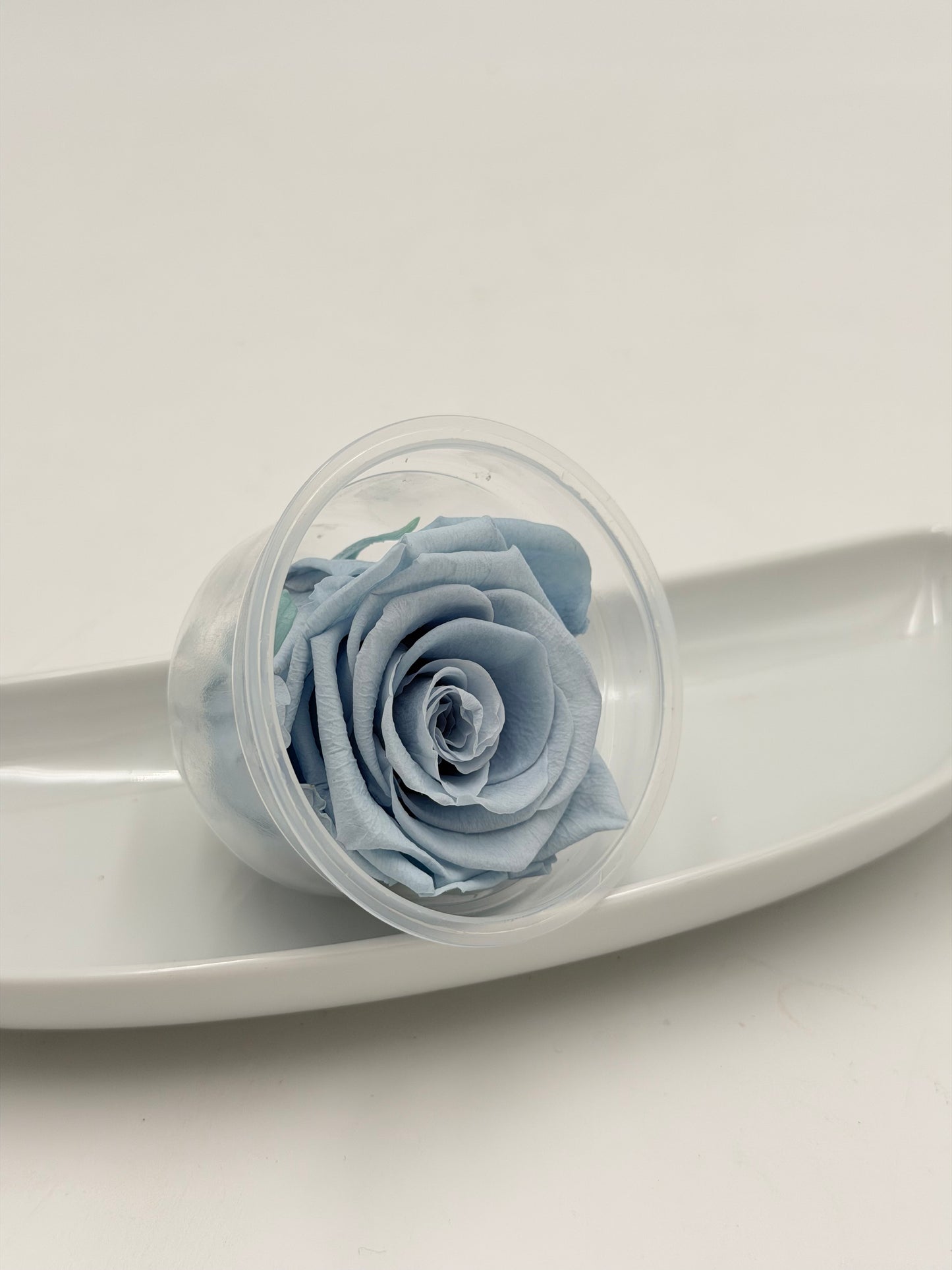 Blüte Infinity Rose dijou Emerald Lavendel floral lavander 1 Stück