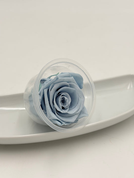 Blüte Infinity Rose dijou Emerald Lavendel floral lavander 1 Stück