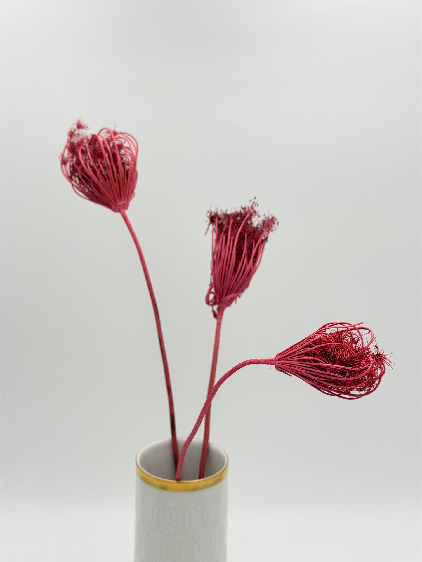 Fenchel pink