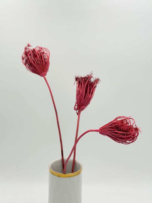 Fenchel pink