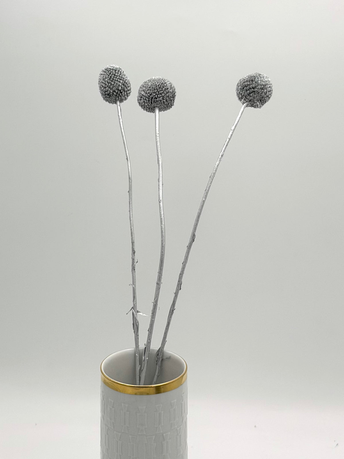 Craspedia silber 3er