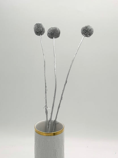 Craspedia silber 3er