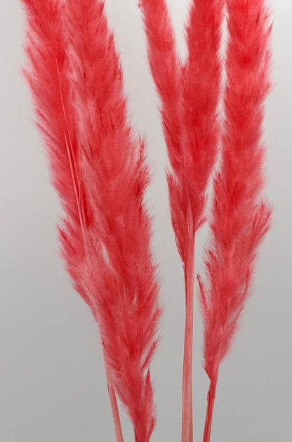 Pampas Stiel pink 5 Stück