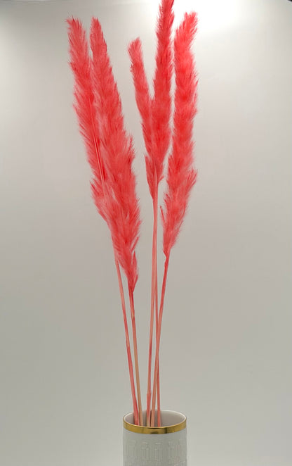 Pampas Stiel pink 5 Stück