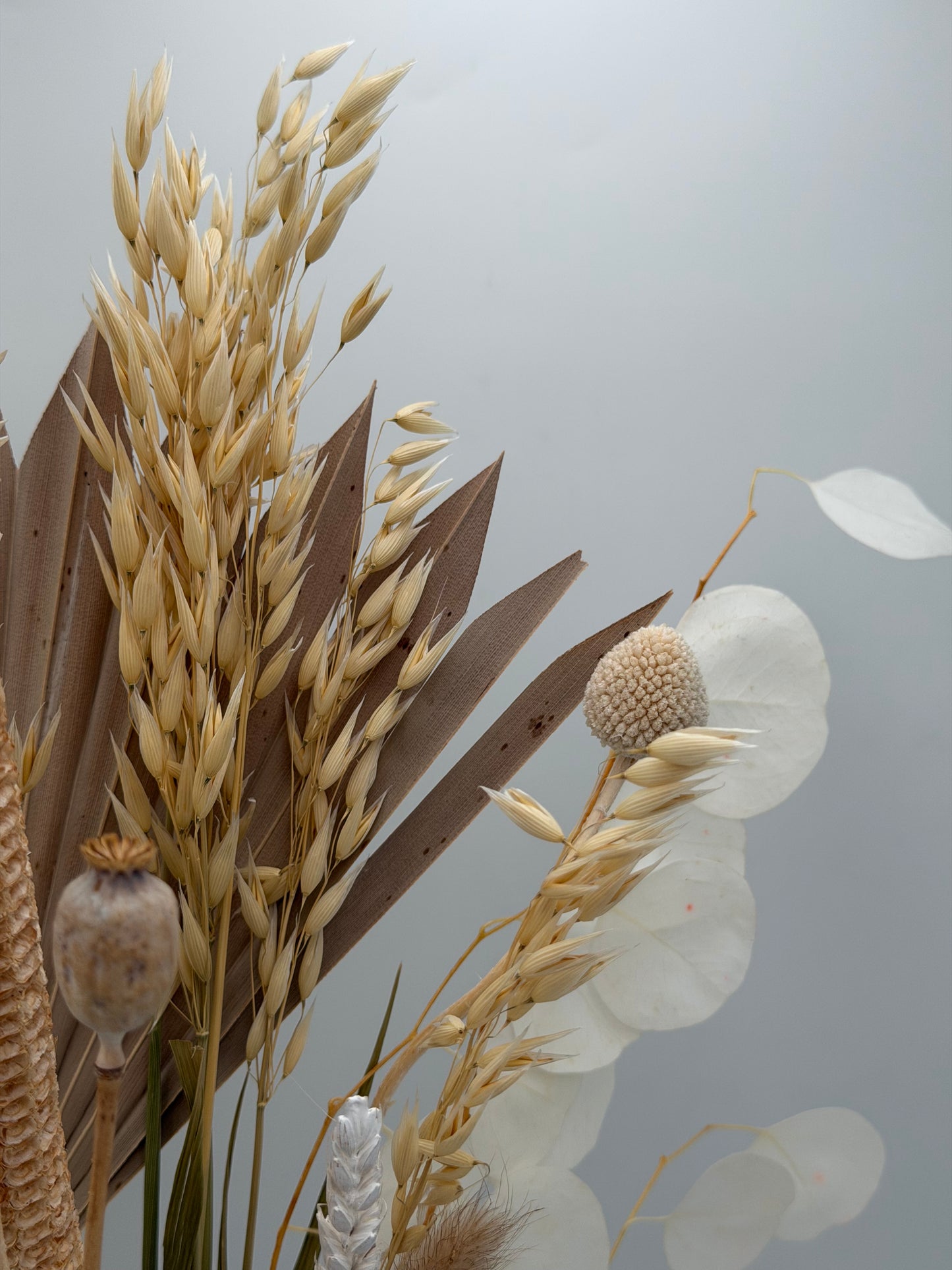Trockenblumen Bund Natur