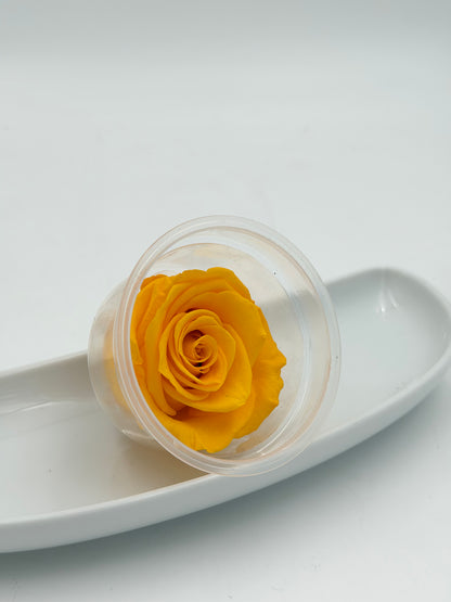 Blüte Infinity Rose gelb warm yellow 1 Stück