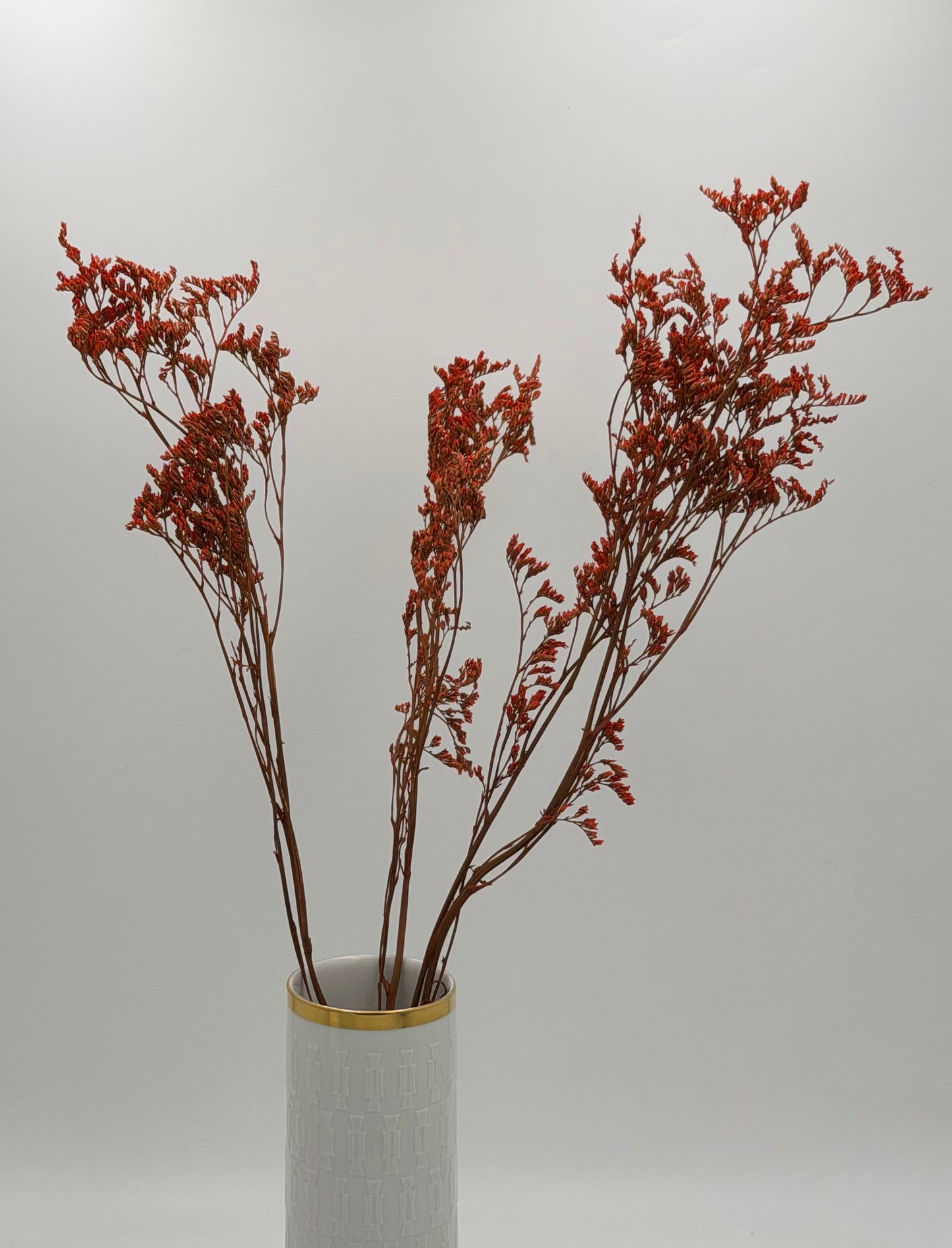 Limonium orange