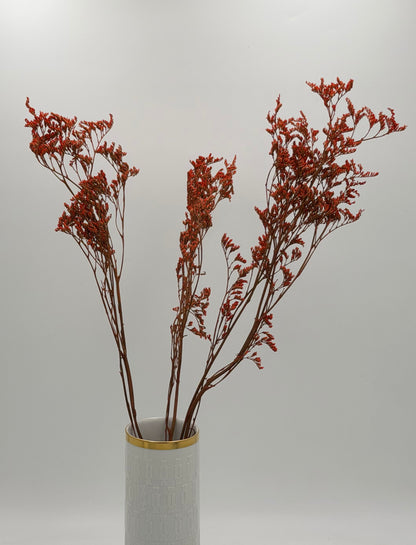 Limonium orange
