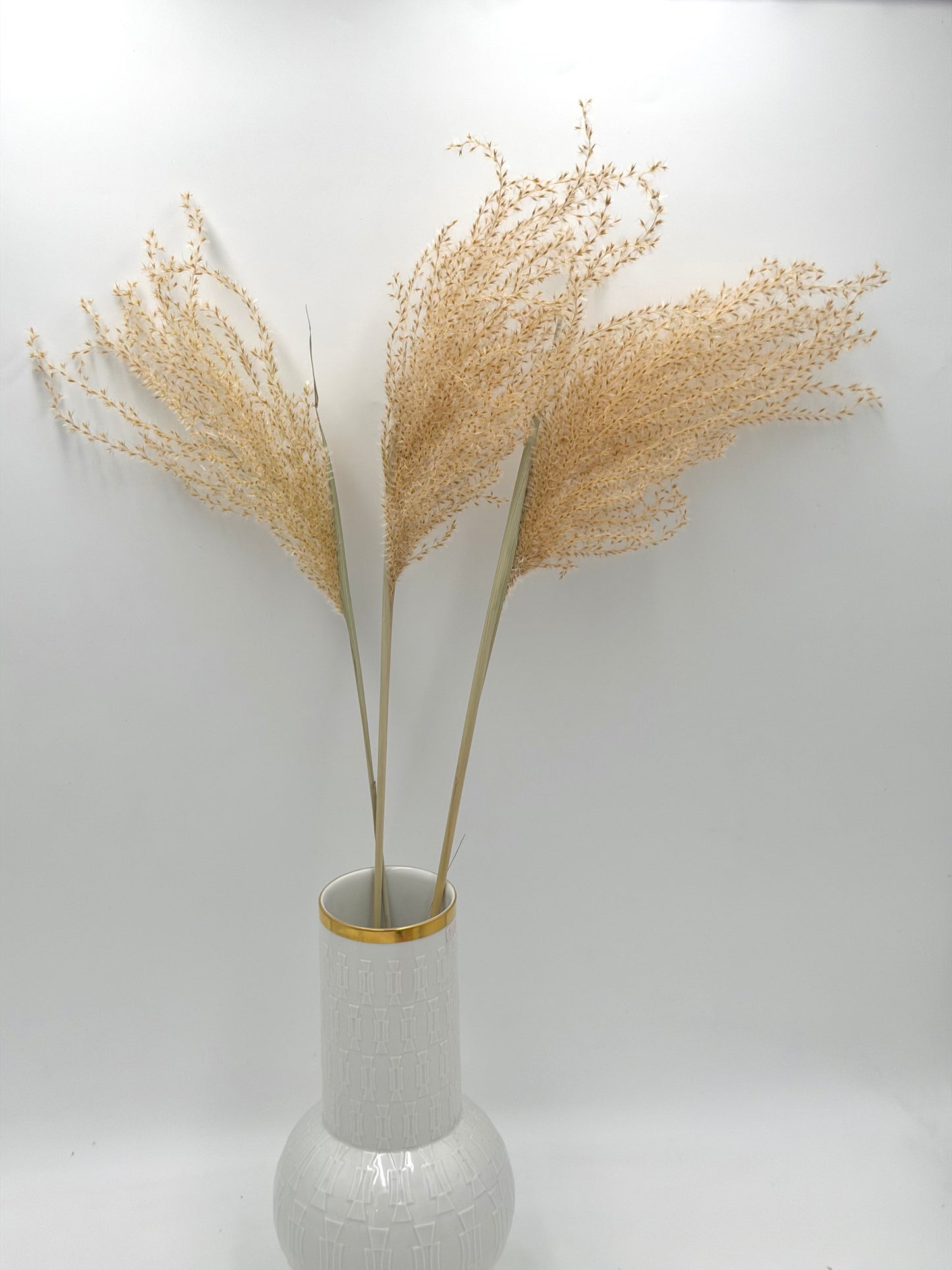 Pampas Stipha Federgras Stiel natur beige 3 Stück