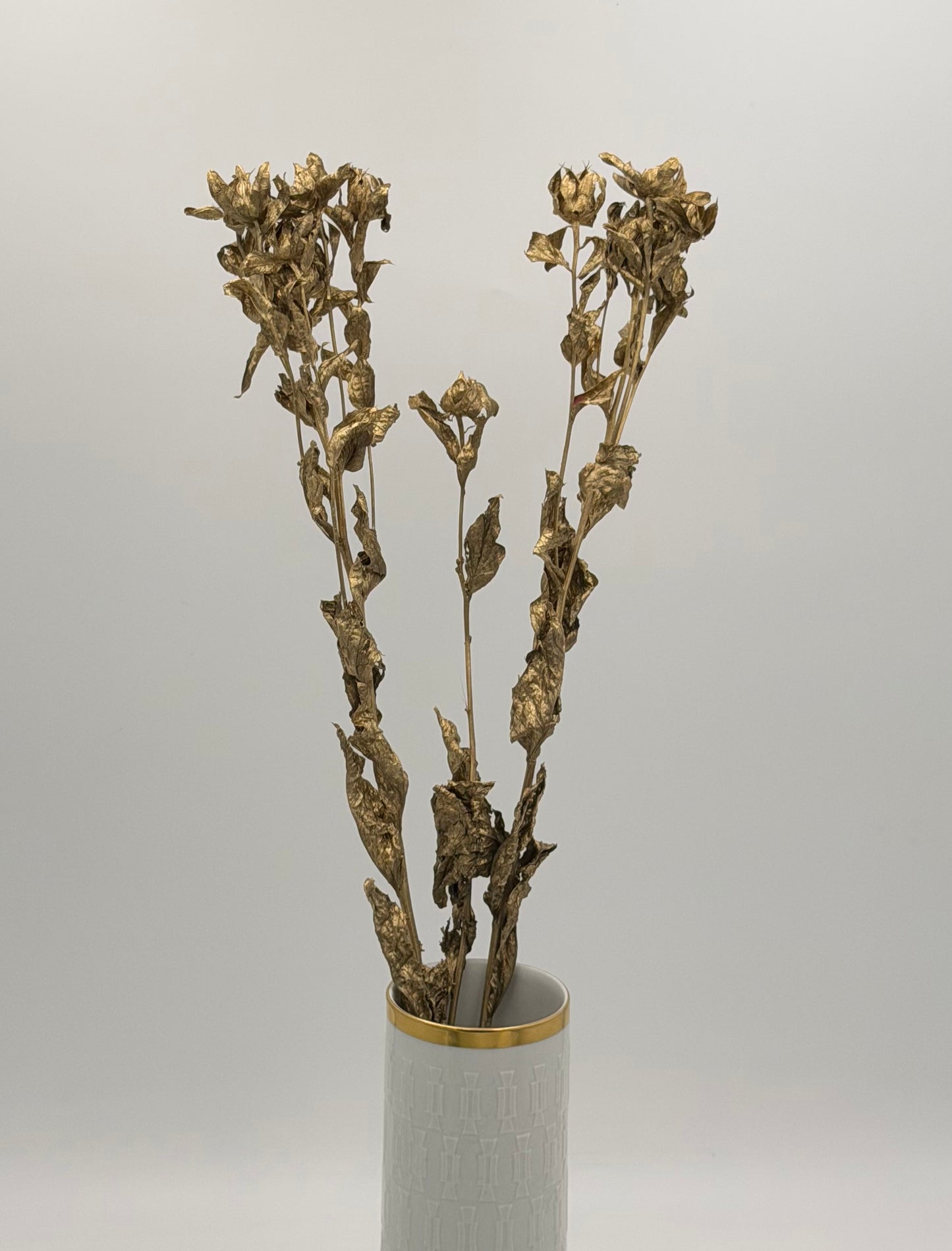 Carthamus gold