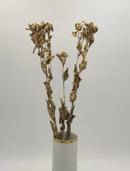 Carthamus gold