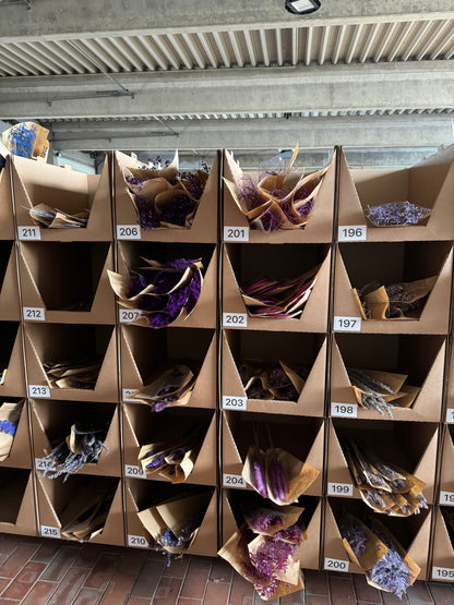 Trockenblumen MYSTERY BOX