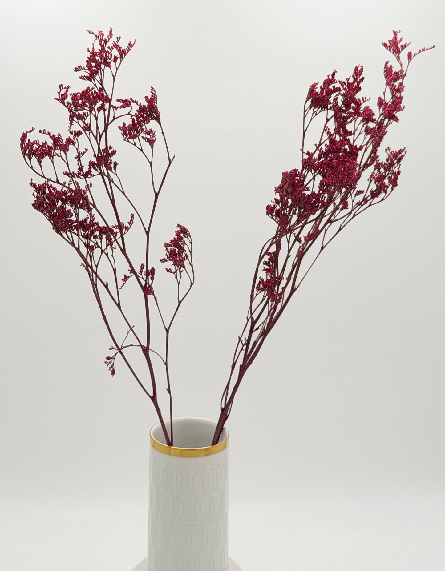 Limonium beere