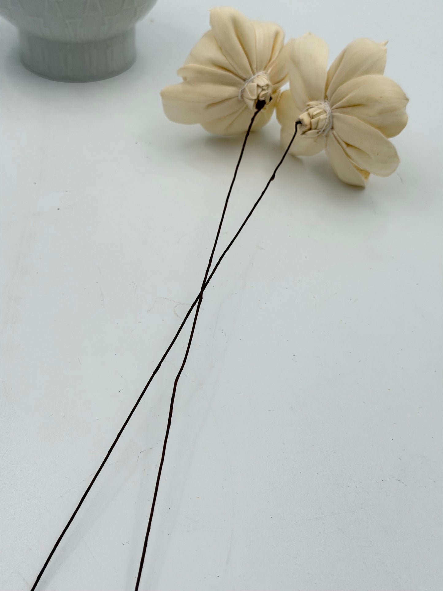 Blüte Sunny am Draht Natur 2 Stück