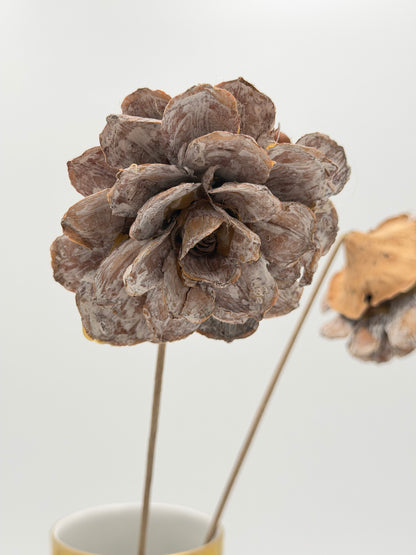 Pinienrose groß am Stiel braun Natur  washed 2 Stück