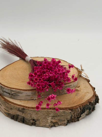 Glixia Sternenblume Papierknöpfchen