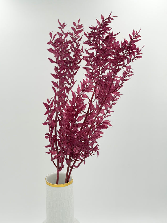 Ruscus beere