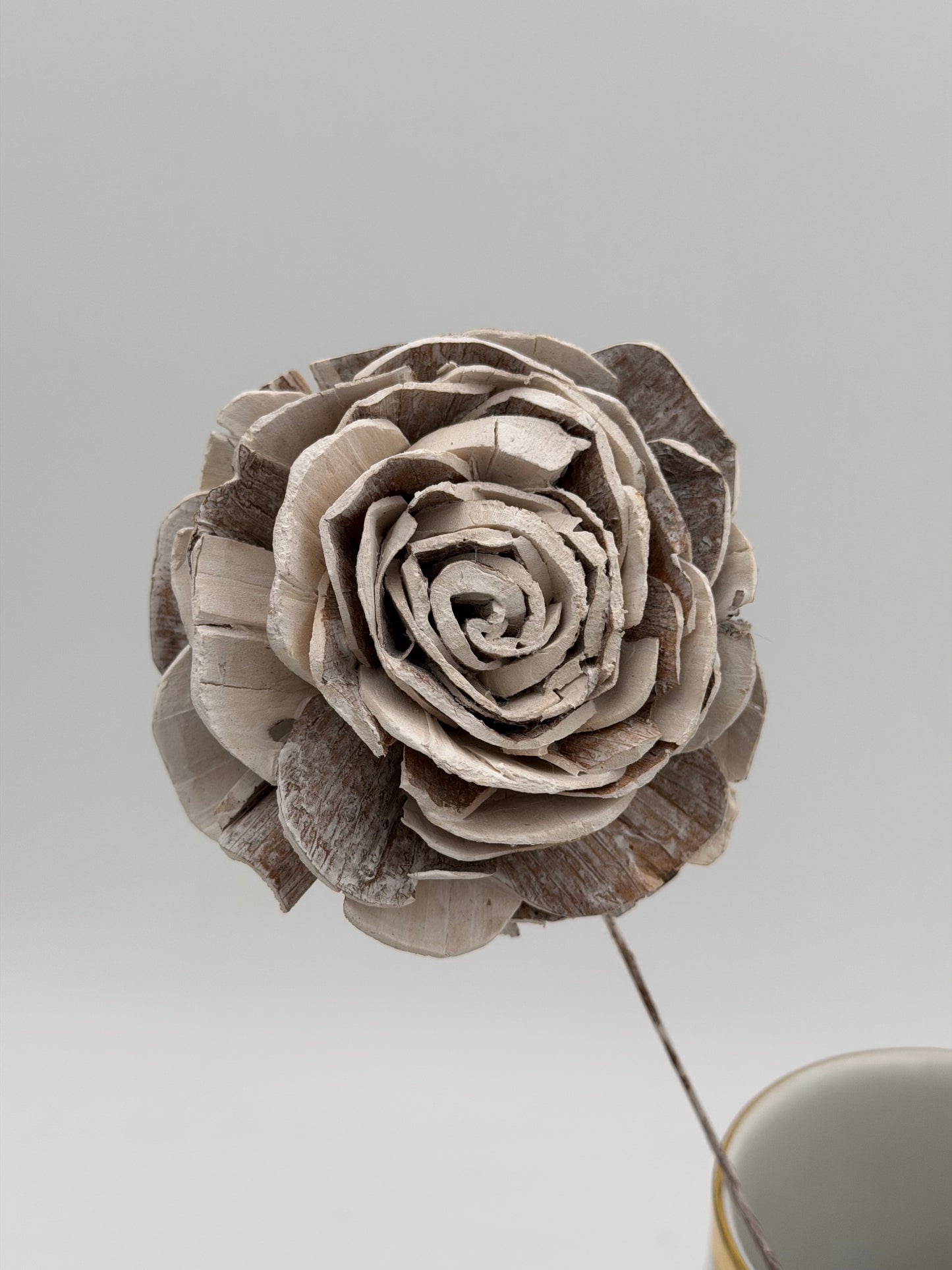 Blüte Sola am Draht weiß white washed 2 Stück