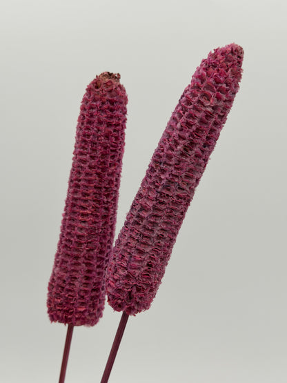 Mais geraspelt am Stiel rosa 3er