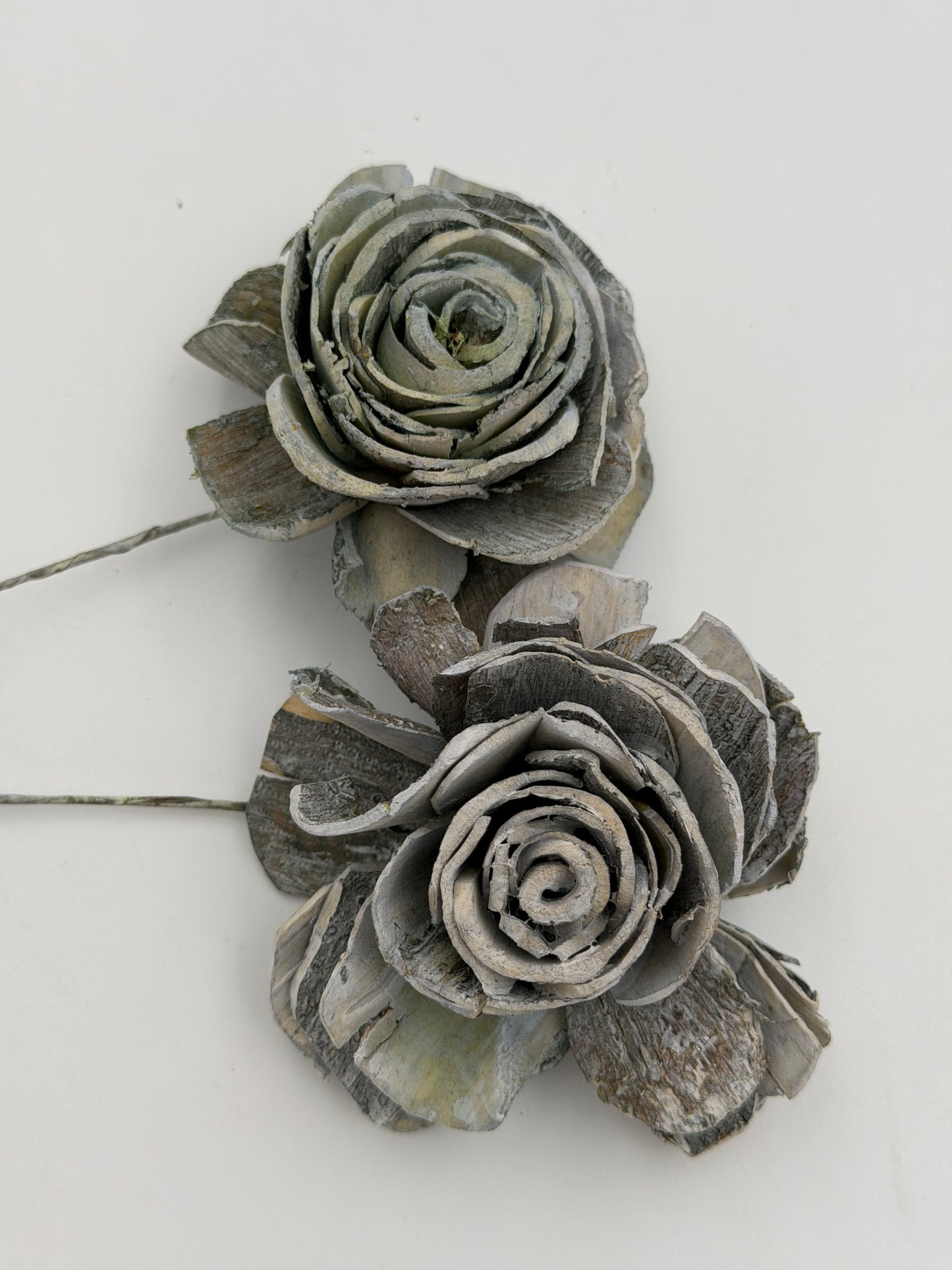 Blüte Sola am Draht grün kiwi green frosted 2 Stück