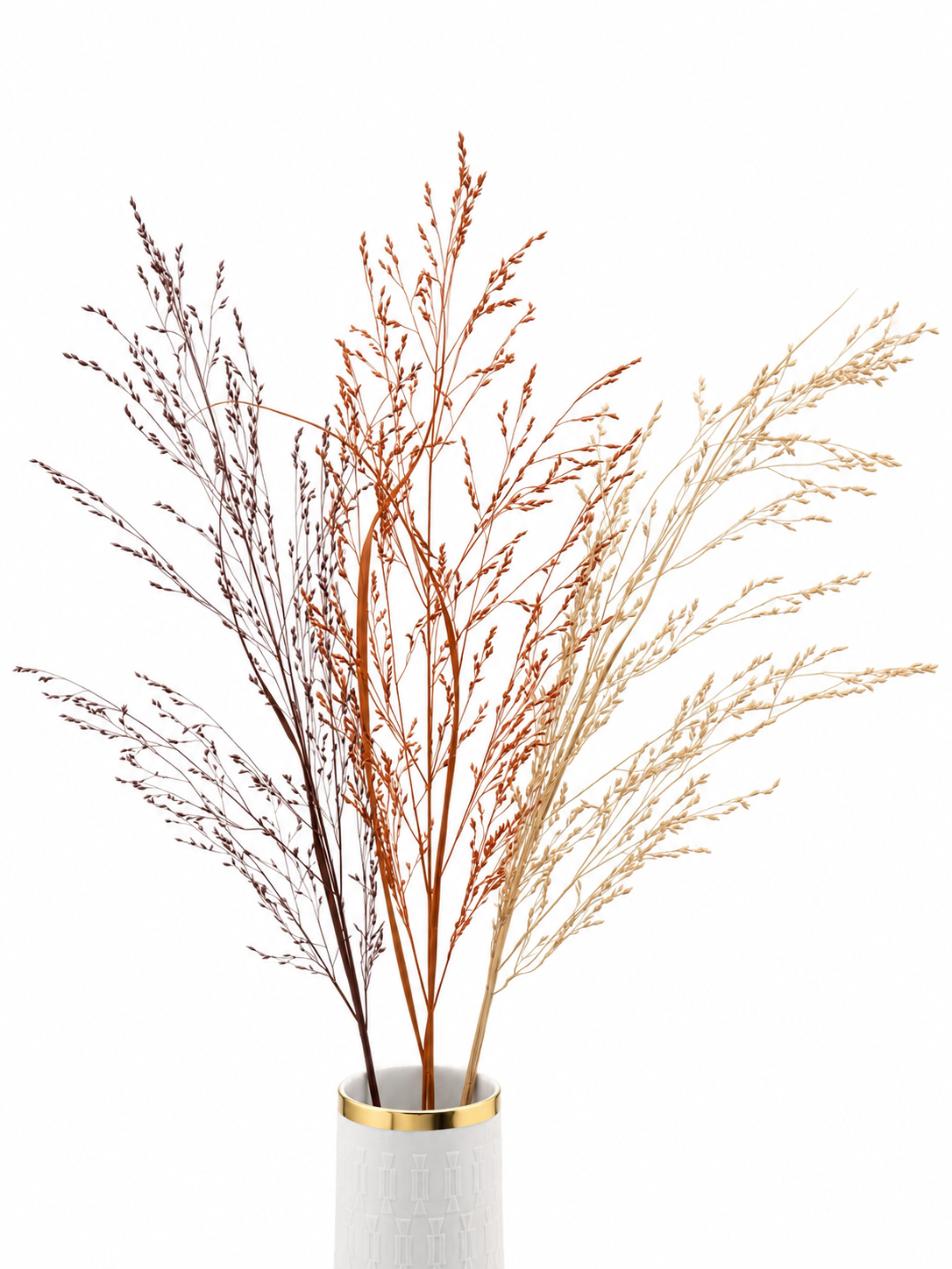 Panicum Ziergras Herbstmix Apricot Orange Bordeaux