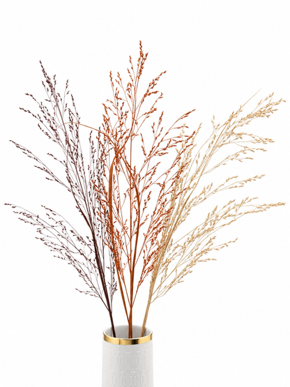 Panicum Ziergras Herbstmix Apricot Orange Bordeaux