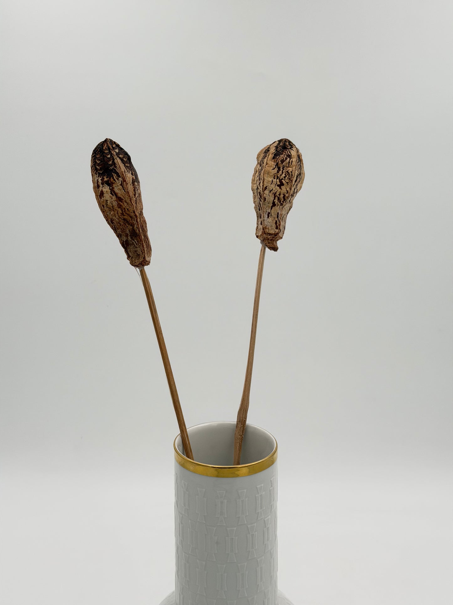 Mahagony Schoten braun 2 Stück