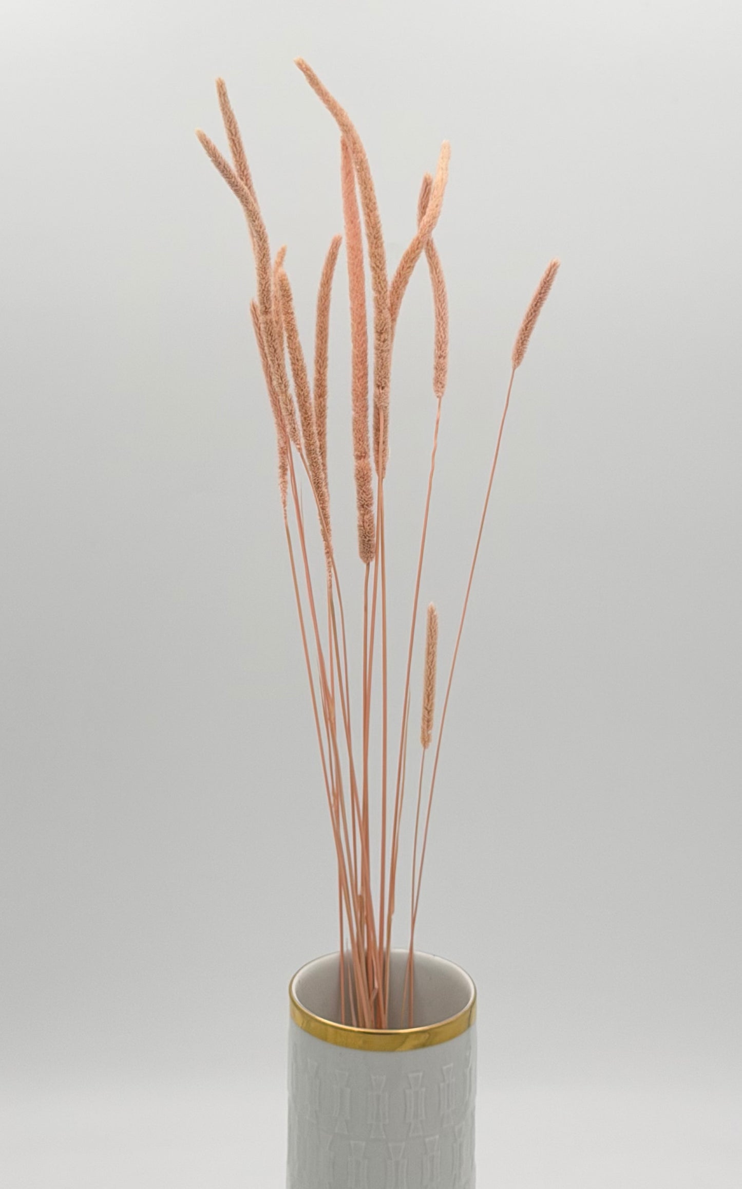 Phleum rosa