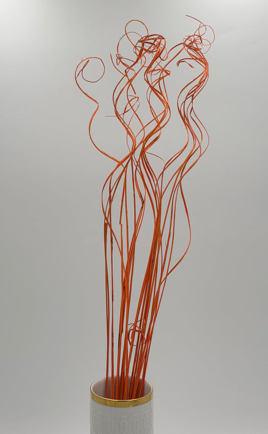 Curly Ting Ting getrocknet orange