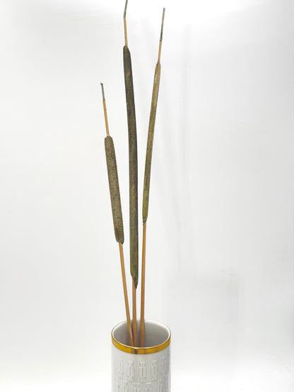 Typha Rohrkolben grün 3er