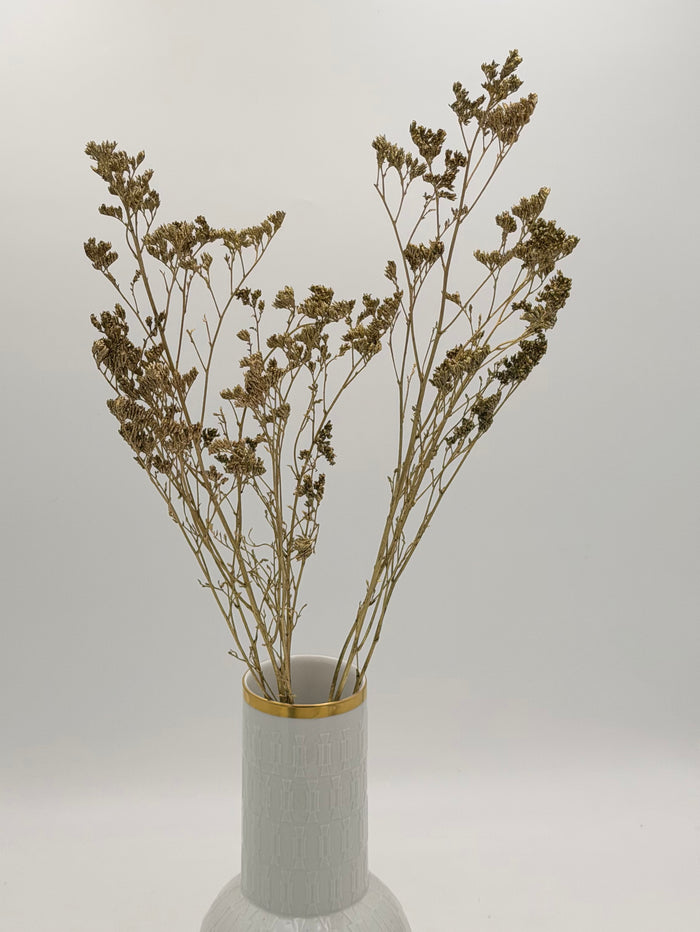 Limonium gold