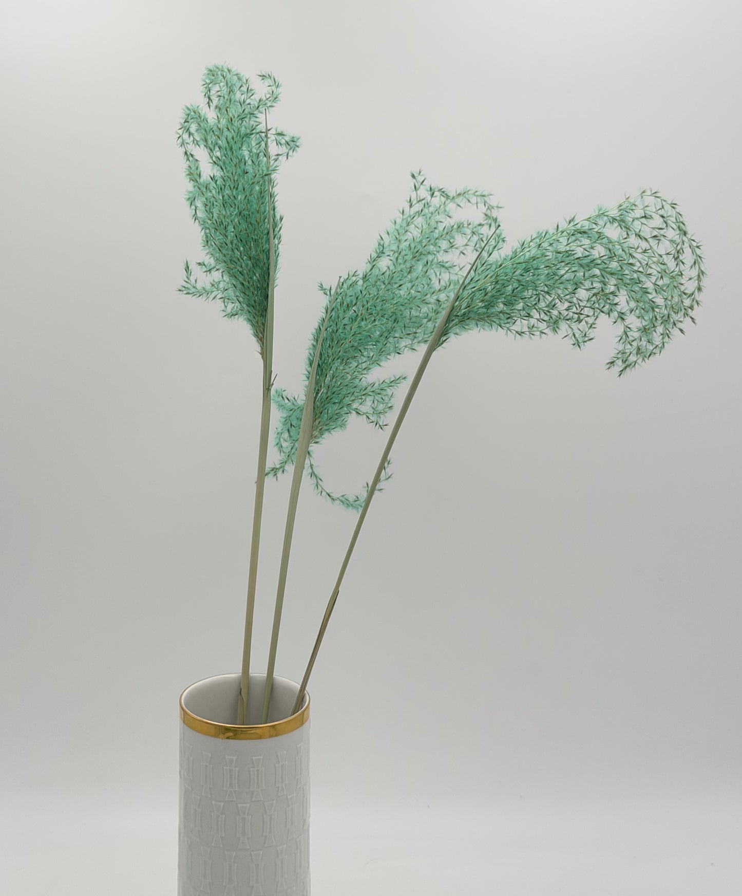 Pampas Stipha Federgras Stiel mint grün 3 Stück