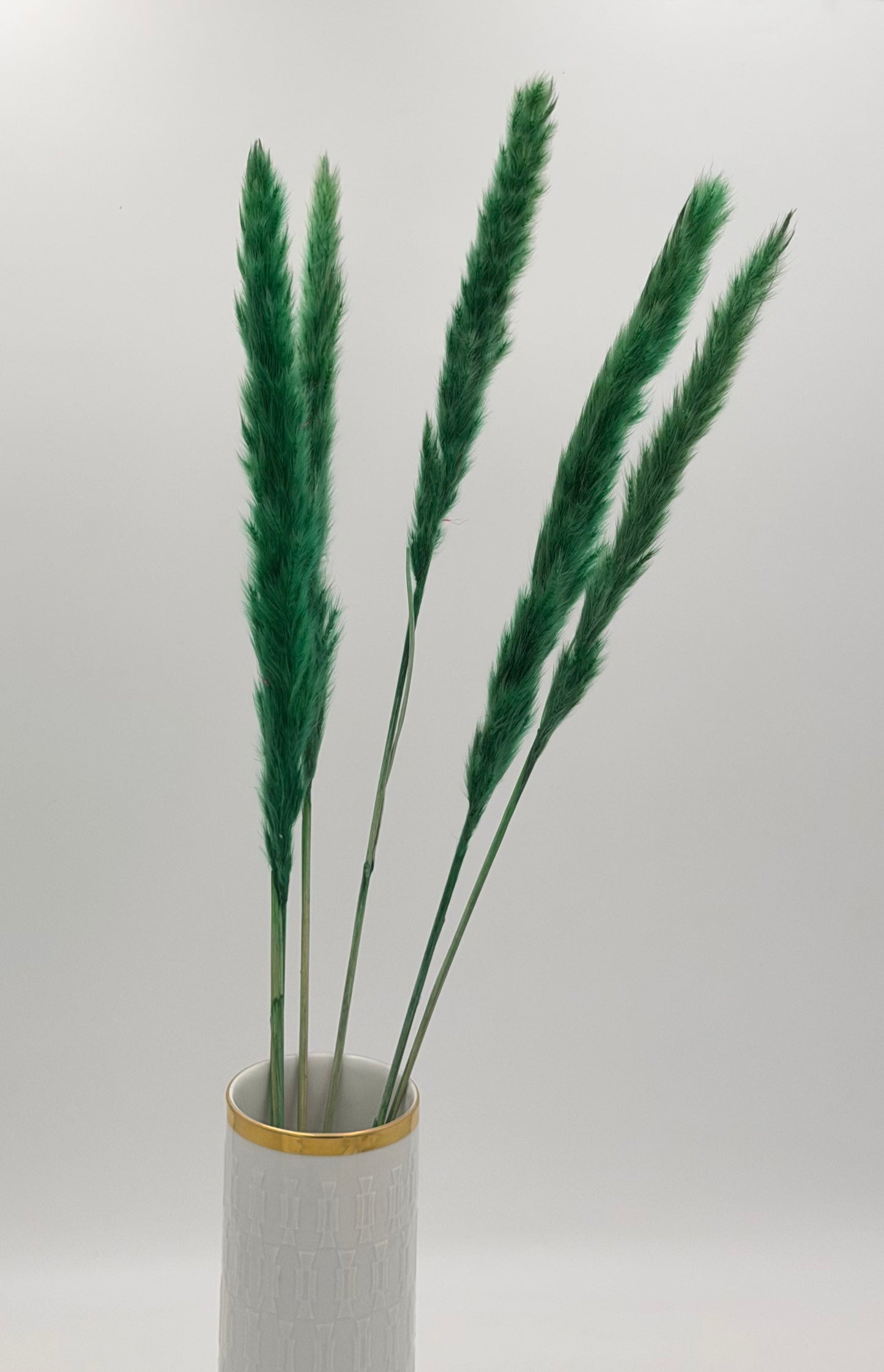 Pampas Stiel grün 5 Stück
